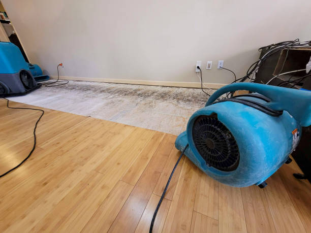 Professional Flood Damage Cleanup technician working in Mount Olive, WV